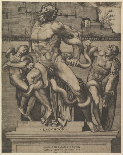 Speculum Romanae Magnificentiae: Laocoonte, XVI secolo da Marco Dente