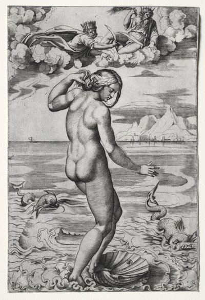 La nascita di Venere da Marco Dente