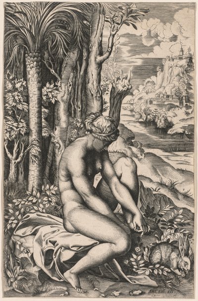 Venere ferita da una spina di rosa, c. 1516 da Marco Dente