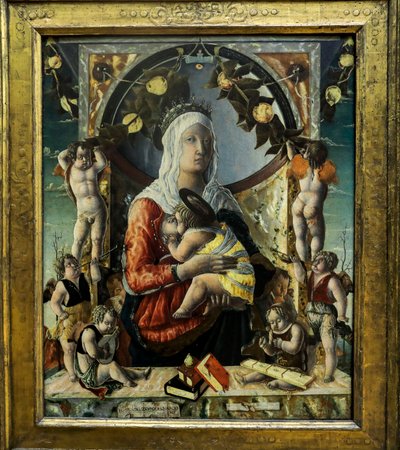La Vergine e il Bambino con otto angeli. 1455 da Marco di Antonio di (1433 1478) Ruggero