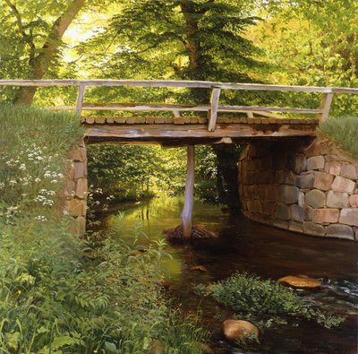 Un ruscello nella foresta con un ponte di legno da Marcus Bech Fritz