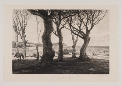 Paesaggio dello Jutland da Marcus Bech Fritz