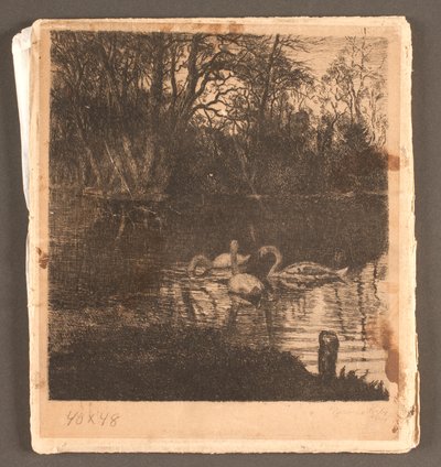Motivo con cigni. Giardino di Frederiksberg da Marcus Bech Fritz