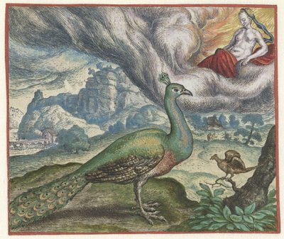 Favola del pavone e dell