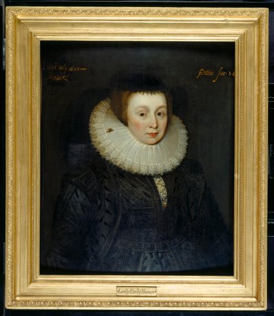Lady Emily Howard da Marcus Gheeraerts