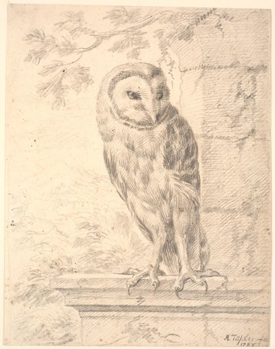Il gufo del barone von Stosch da Marcus Tuscher