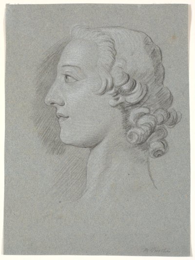 Il collezionista d