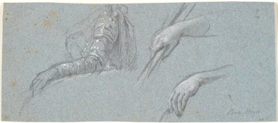 Due studi di mani e studio di torso femminile con braccio teso da Marcus Tuscher