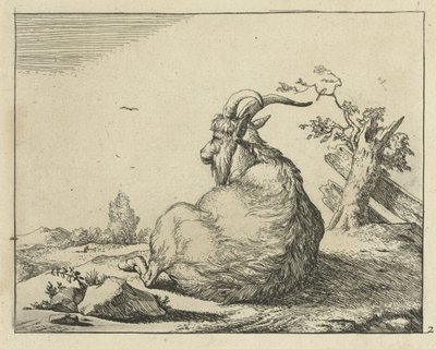 Capra seduta vicino a un albero caduto da Marcus de Bye