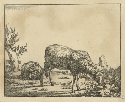 Pecora che pascola e pecora sdraiata vicino a un recinto (serie Schapen) da Marcus de Bye
