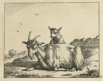 Capra sdraiata con agnello da Marcus de Bye