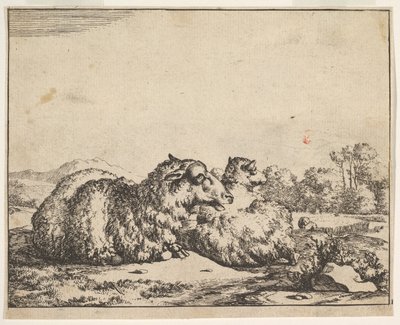 Pecora, da una serie di 16 piatti, 1664 da Marcus de Bye