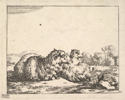 Pecore, da una serie di 16 piatti, 1664 da Marcus de Bye
