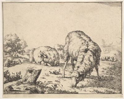 Pecora, da una serie di 16 piatti, 1664 da Marcus de Bye