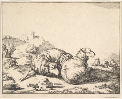 Pecore, da una serie di 16 piatti, 1664 da Marcus de Bye