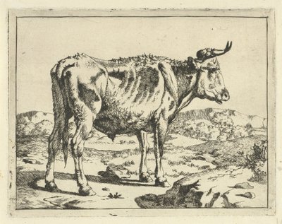 Toro vicino a una roccia (serie: Bovini e maiali) da Marcus de Bye