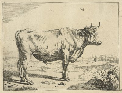 Toro, in piedi a destra, con uccelli da Marcus de Bye