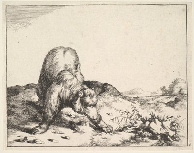 dalla serie Gli Orsi da Marcus de Bye