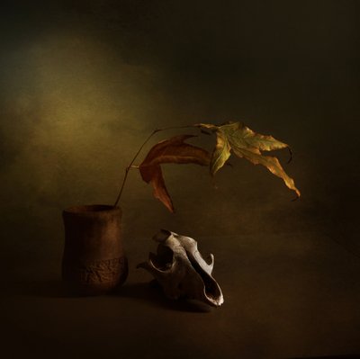 Natura morta d