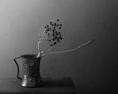 Natura morta con bacche scure da Margaret Halaby