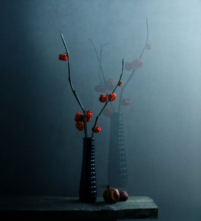 Natura morta botanica di Moody da Margaret Halaby