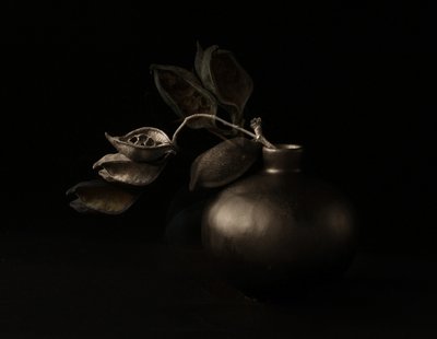 Baccelli di Moody da Margaret Halaby