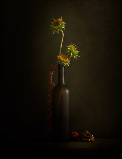 Natura morta con girasole malinconico da Margaret Halaby