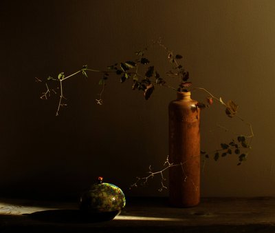 Natura morta rustica con coccinella da Margaret Halaby