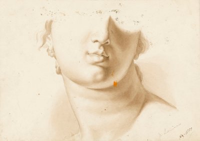 Studio della metà inferiore di un volto umano, possibilmente una statua da Margaret Louisa Herschel