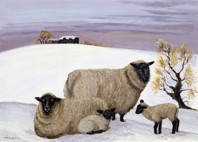 Pecore in inverno da Margaret Loxton