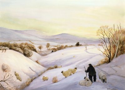 pecore sulla cresta da Margaret Loxton