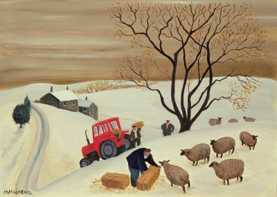 portare il fieno alle pecore con il trattore da Margaret Loxton