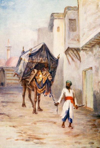 Conduttore di cammelli da Margaret Thomas