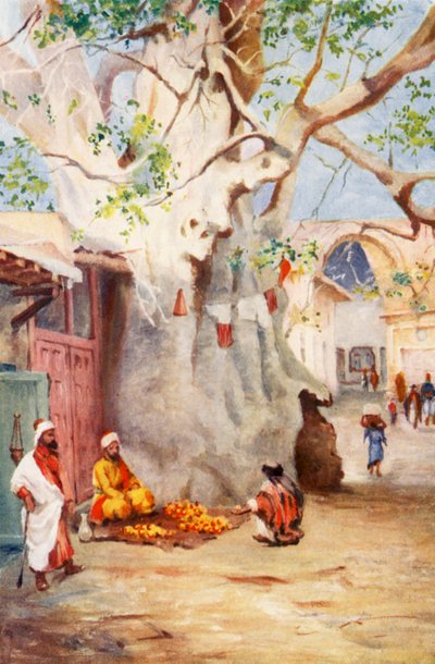 Grande piantaggine nel bazar, Damasco da Margaret Thomas