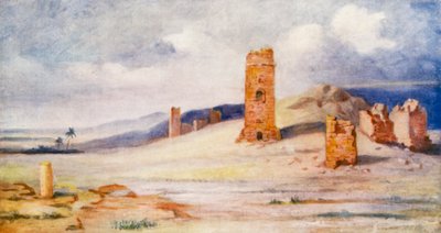 Torri mortuarie, Palmira da Margaret Thomas