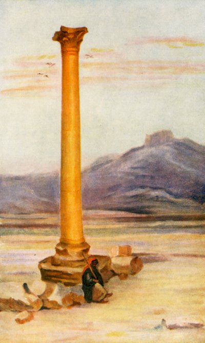 Colonna solitaria, Palmira da Margaret Thomas