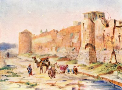 Muro di Damasco, effetto crepuscolare da Margaret Thomas