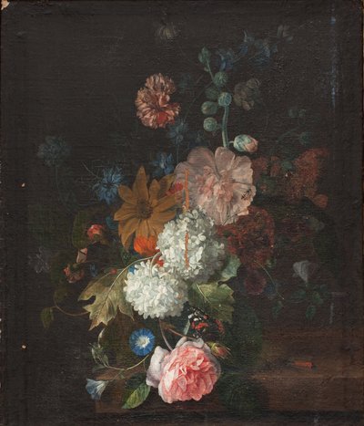 Fiori da Margareta Haverman