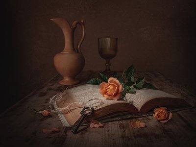 Il libro "Dark Academia Rose" da Margareth Perfoncio