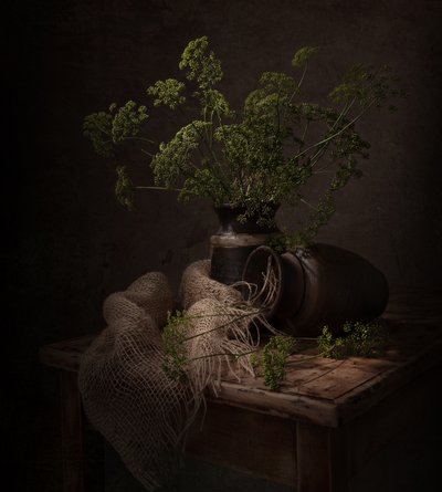 Natura morta botanica in tonalità scure da Margareth Perfoncio
