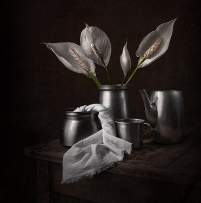 Eleganti gigli della pace da Margareth Perfoncio