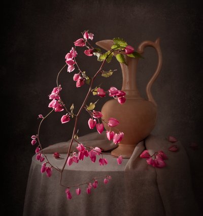 Elegante natura morta rosa da Margareth Perfoncio