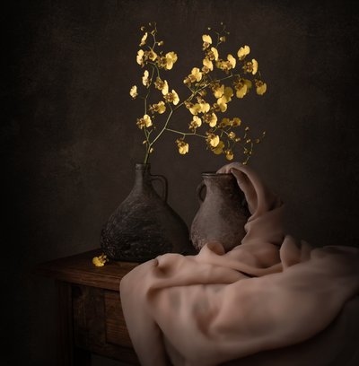 Orchidee gialle malinconiche da Margareth Perfoncio