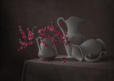 Fiori rosa e brocche bianche da Margareth Perfoncio
