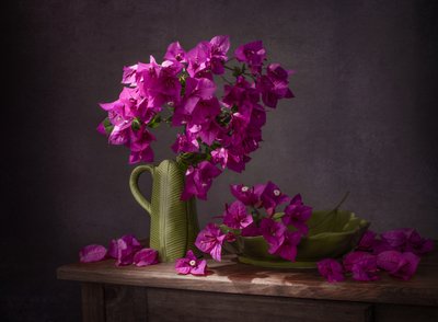 Viva natura con bouganville dai colori vivaci da Margareth Perfoncio