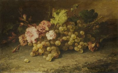 Natura morta con uva da Margaretha Roosenboom