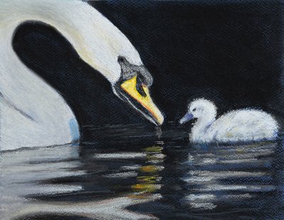Segui la mamma da Margo Starkey