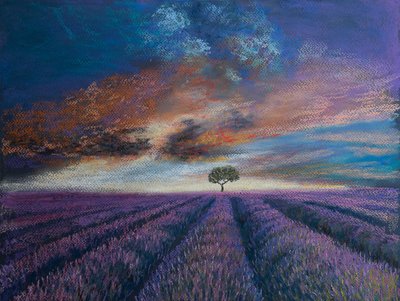 Campi di lavanda in Normandia da Margo Starkey