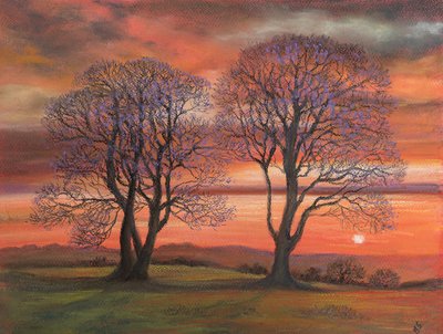 Luce del sole attraverso gli alberi da Margo Starkey