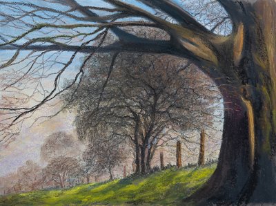 Alberi sferzati dal vento...Shrewsbury da Margo Starkey